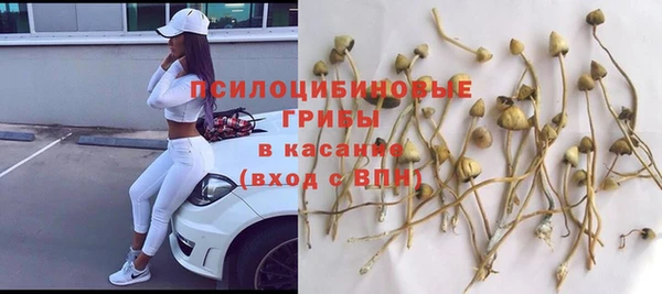 каннабис Анжеро-Судженск