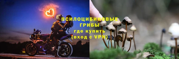 спиды Сясьстрой