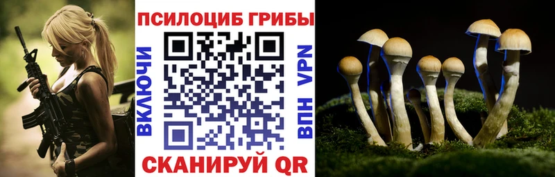Галлюциногенные грибы мицелий  hydra зеркало  Саранск  как найти закладки 