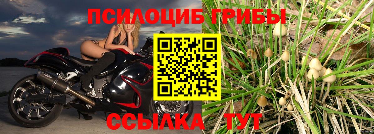 Галлюциногенные грибы мухоморы Саранск